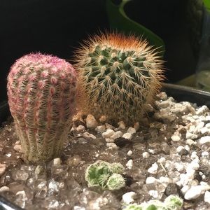 Meet your Posher, Ria